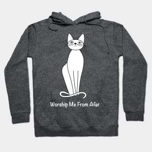 Worship me from afar Hoodie